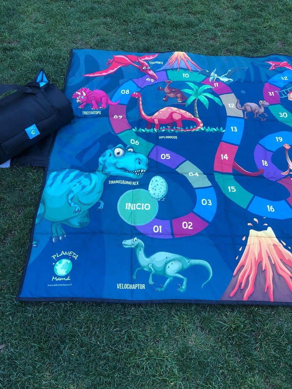 Play Mat Dinosaurios